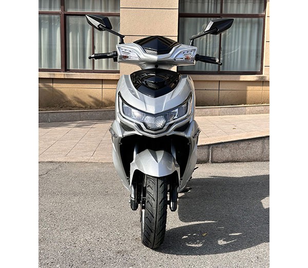Adult Electric Motorcycle