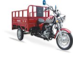 Petrol 3 Wheel Motorcycle
