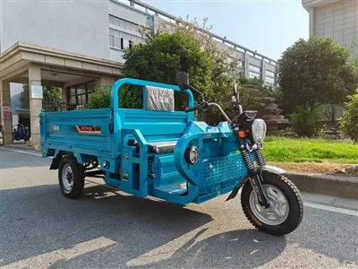 Super Dragon Electric Tricycle Data Sheet