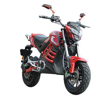 Big Electric Motorcycle