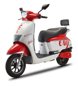 Adult Electric Scooter