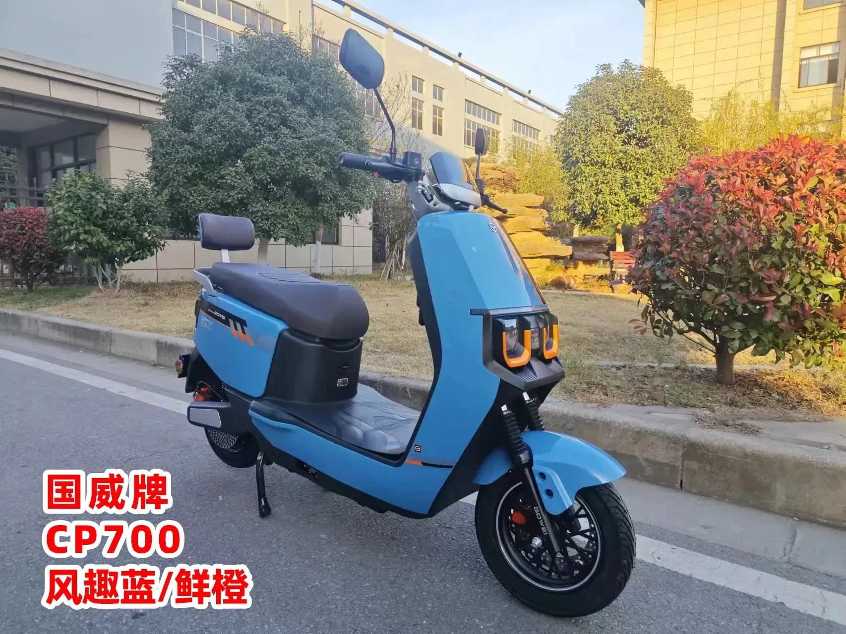 China Cheap Two Person Motorcycle Adult Electric Scooter Fast Motorcycle Scooter